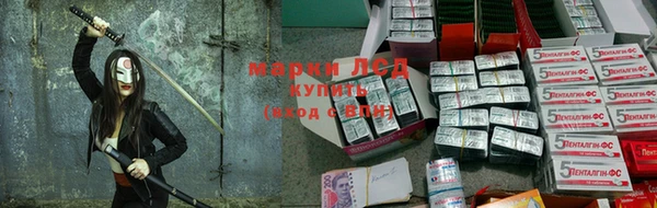 трава Кущёвская