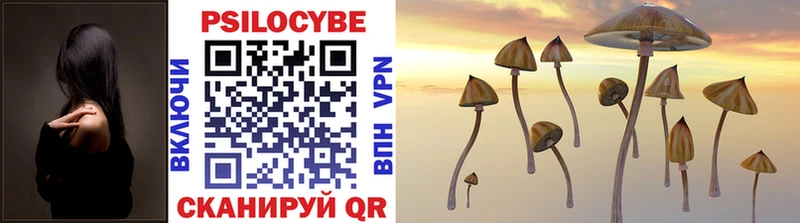 Купить закладки  Нахабино  Галлюциногенные грибы Psilocybe 